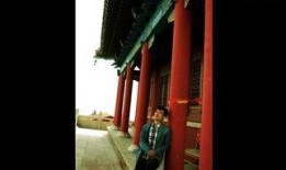 任逍在线观看,揭秘网络世界的奇幻旅程